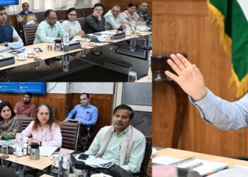 CS reviews impediments, steers measures to accelerate solarisation across J&K