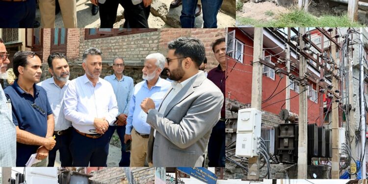 Emphasizes time-bound infrastructure & safety compliant upgradation, ensuring public safety & seamless power supply