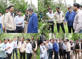 MLA, DC Shopian assess hailstorm damage in district