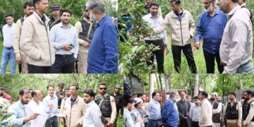 MLA, DC Shopian assess hailstorm damage in district