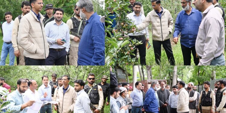 MLA, DC Shopian assess hailstorm damage in district