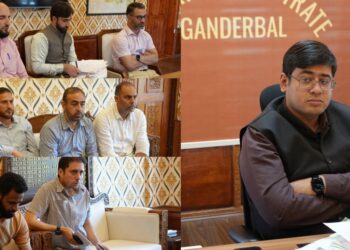 DC Ganderbal reviews progress of Phase-I Census activities