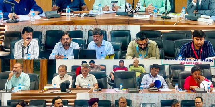 DLRC/DCC meeting reviews banking performance and credit flow in Kathua
