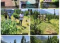 Central Kashmir Excise Range destroys Poppy cultivation at multiple locations