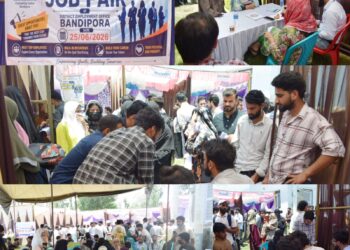 DE&CC Bandipora organizes One-Day Job Fair; over 450 unemployed youth participate