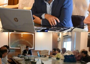 DC Kulgam chairs IPPI review meeting