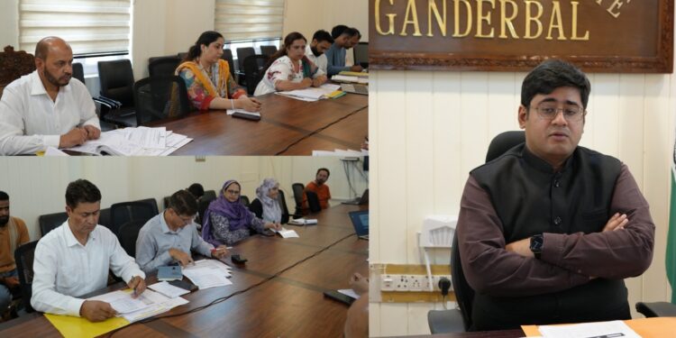 DC Ganderbal reviews implementation of Mission YUVA; approves 267 beneficiary cases