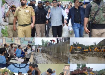DC Budgam visits Magam, Beerwah Hospitals; inspects restoration work on damaged diversion bridge at Beerwah