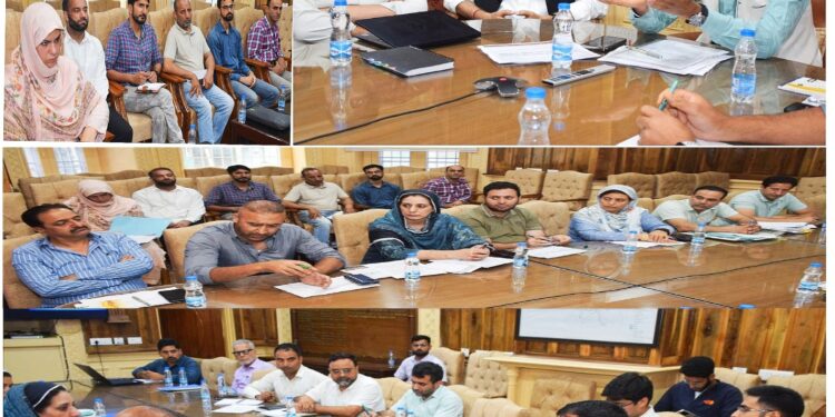 Div Com Kashmir reviews progress of 60 MLD STP Noorbagh