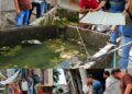 Malaria Team conducts anti-dengue awareness, surveillance activities in Doda Town