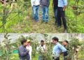 DC Poonch visits high-density apple orchard at Loran, reviews progress under government scheme