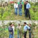 DC Poonch visits high-density apple orchard at Loran, reviews progress under government scheme
