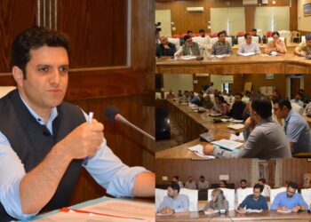 DC Budgam chairs meeting on disaster preparedness in view of current weather advisory
