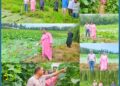 Director Extension SKUAST-K visits KVK Bandipora-1, reviews Research and Extension activities