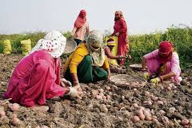 J&K Govt notifies agriculture pause periods under VB-GRAM G to protect peak sowing, harvesting seasons