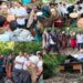 DC Bandipora visits Surrinder to assess rain, flash flood damage; reviews response measures
