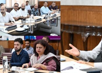 CS reviews measures to strengthen J&K’s handicrafts and handloom sector