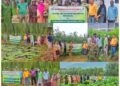 KVK Bandipora-1 hosts exposure visit for Ganderbal FPO, showcases modern Farming Technologies