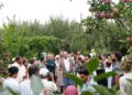 Ambri Apple revival takes Centre Stage at SKUAST-K Field Day at Shopian