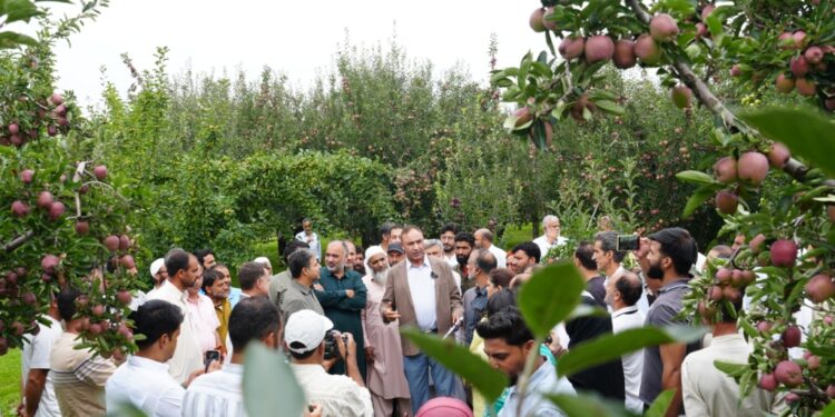 Ambri Apple revival takes Centre Stage at SKUAST-K Field Day at Shopian