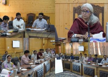 DDC Bandipora reviews Progress of District Capex, Revenue Capex, DAJGUA and Heritage Works
