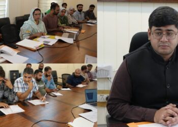 DC Ganderbal reviews Mission YUVA progress; DLIC Approves 233 Beneficiary Cases