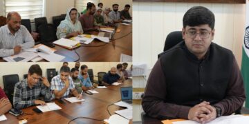 DC Ganderbal reviews Mission YUVA progress; DLIC Approves 233 Beneficiary Cases