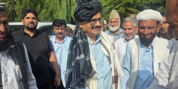 Javed Rana meets delegations, assures swift resolution of development issues