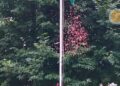 DIPR celebrates 80th Independence Day at Srinagar