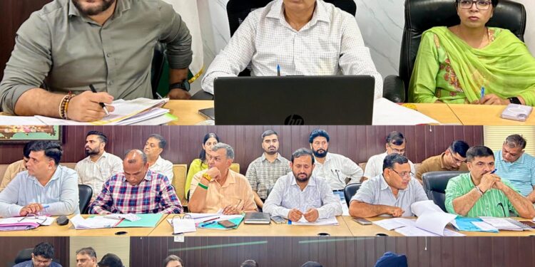 DC Kathua assesses progress of development works