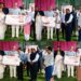 CM Omar Abdullah felicitates winners of competitions organized by Floriculture Department