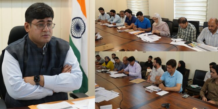 DC Ganderbal reviews progress under HADP, JKCIP; District Level Committee approves 387 Applications