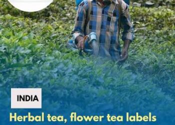 FDA issues Public Health Advisory against Unsafe “New Fast Tea”;