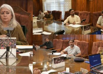 DC Bandipora reviews measures to curb Illegal Mining