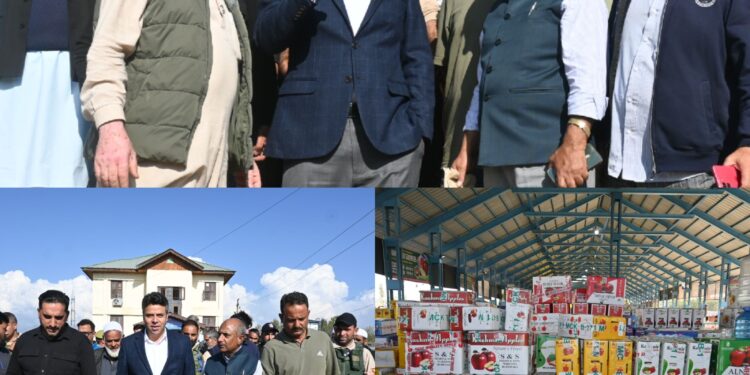 DC Anantnag visits Jablipora Fruit Mandi