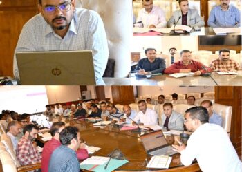 DC Kulgam reviews works under District Capex