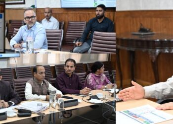 Leverage strengths, address challenges for high-value handicraft exports: CS