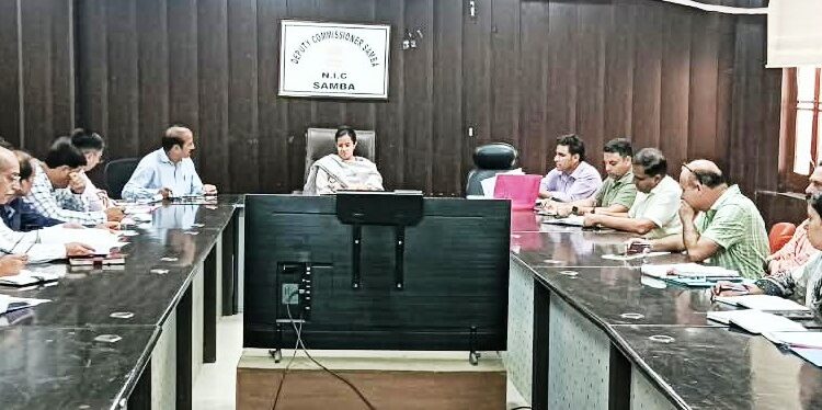 DC Samba reviews implementation of Vibrant Villages Programme-II