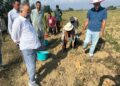 Director Agriculture Kashmir reviews activities at Seed Multiplication Farm Allowpora