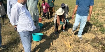 Director Agriculture Kashmir reviews activities at Seed Multiplication Farm Allowpora