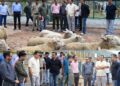 Javid Dar reviews sheep breeding initiatives at Khimber Farm