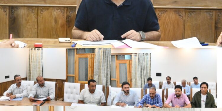 DC Anantnag reviews ATR on stray dog issue, calls for effective implementation of Supreme Court directions