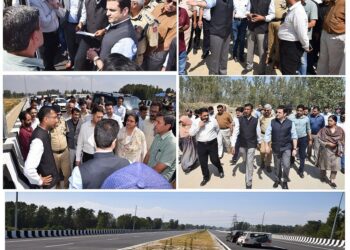 Email: ddipr1-kmr@jk.gov.in