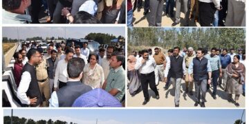 Email: ddipr1-kmr@jk.gov.in