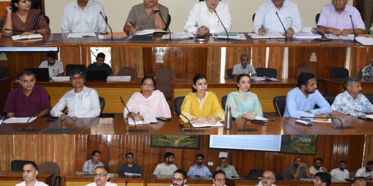 DC Udhampur reviews progress of District Plan development works, RDD schemes
