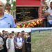 MLA Kulgam lays foundation stone for development of playfield at Mohipora