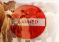 DM Jammu imposes ban on transportation of bovines