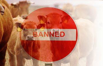 DM Jammu imposes ban on transportation of bovines