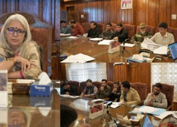 DDC Bandipora reviews RDD CAPEX progress, directs expeditious completion of Works