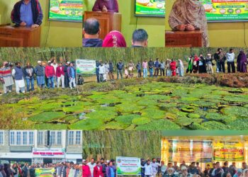 KVK Bandipora-1 organises Training Programme on Makhana Cultivation